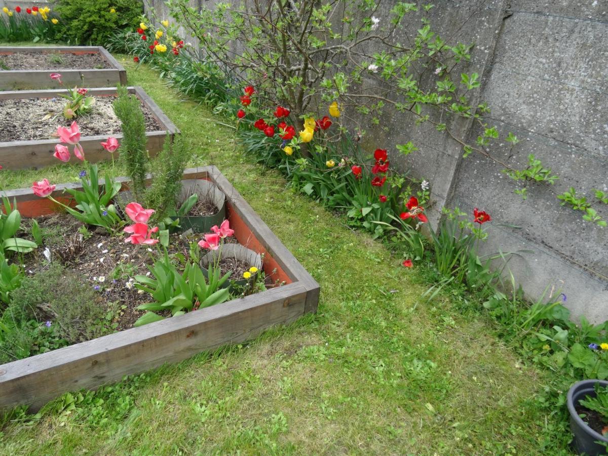 Maison D'Hotes Les Roses Tremieres サクレー エクステリア 写真
