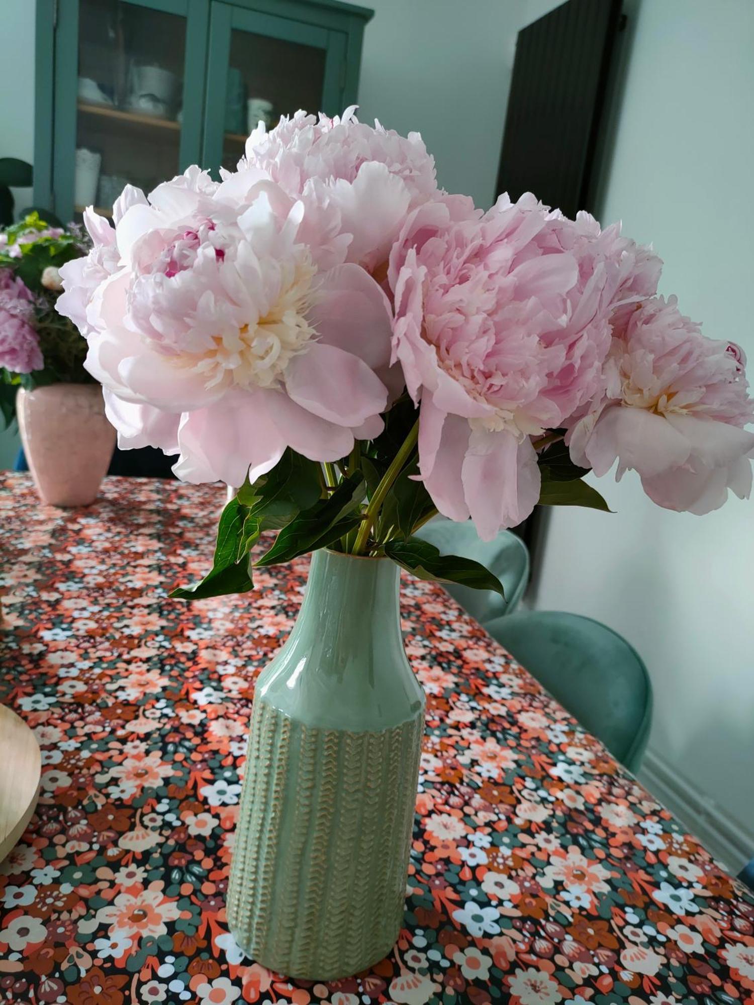 Maison D'Hotes Les Roses Tremieres サクレー エクステリア 写真