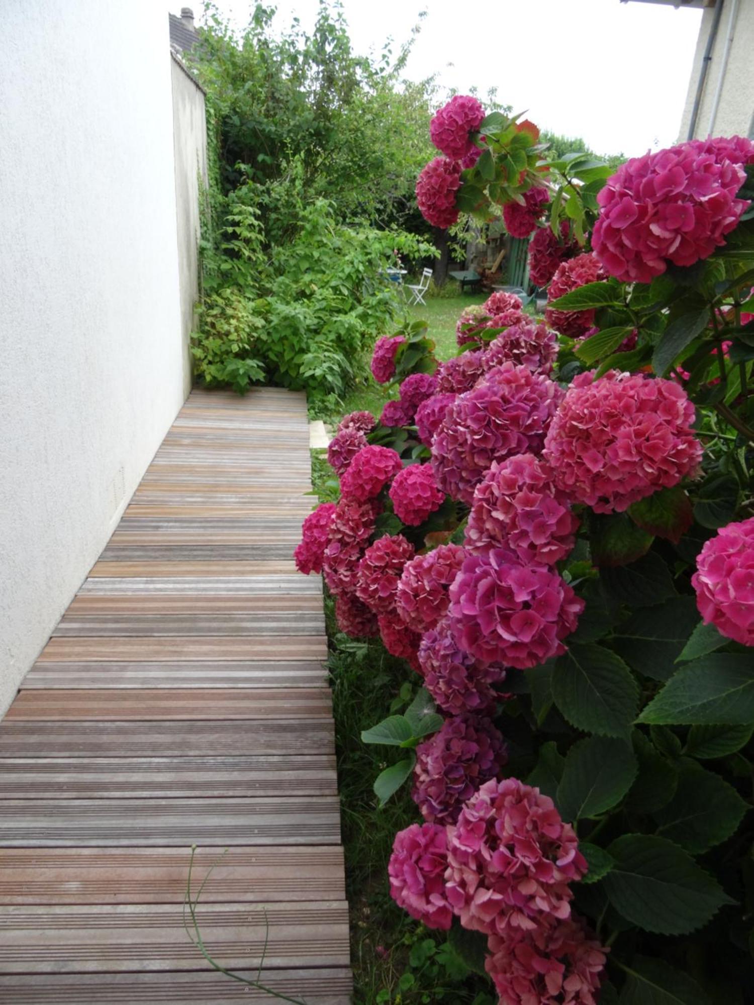 Maison D'Hotes Les Roses Tremieres サクレー エクステリア 写真